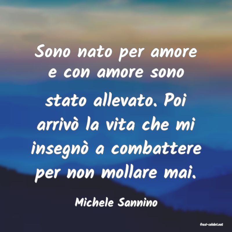 frasi di  Michele Sannino
