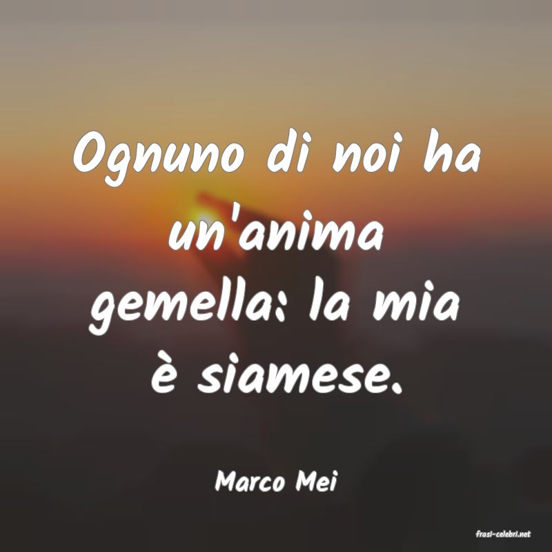 frasi di  Marco Mei
