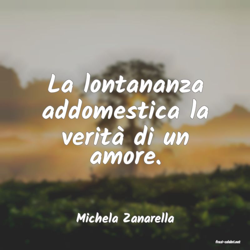 frasi di  Michela Zanarella
