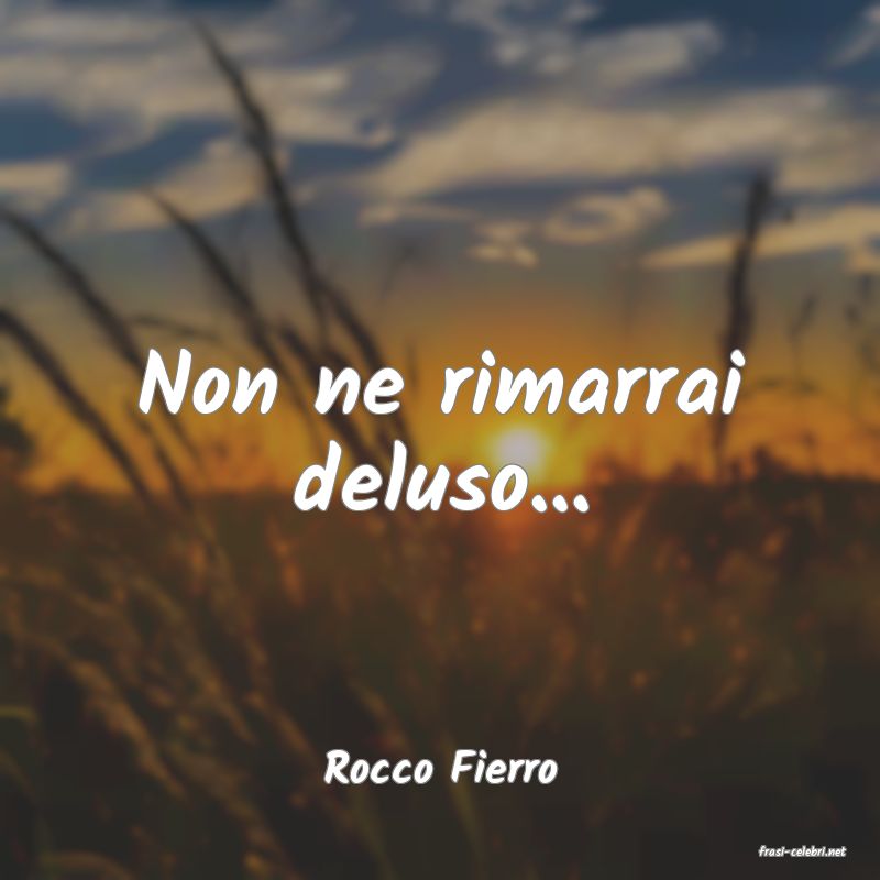 frasi di  Rocco Fierro
