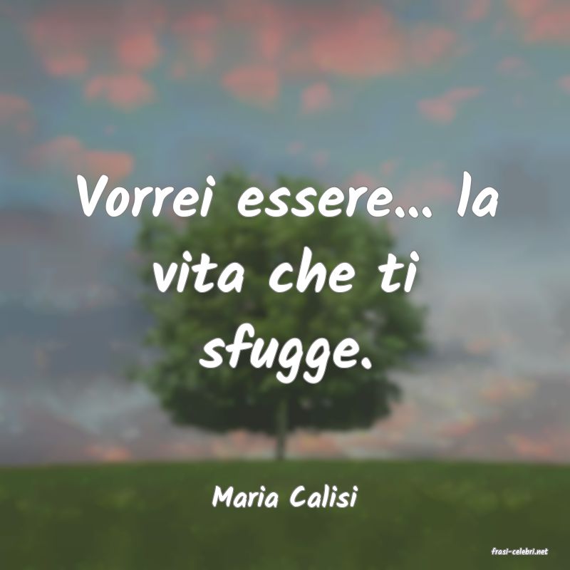 frasi di  Maria Calisi
