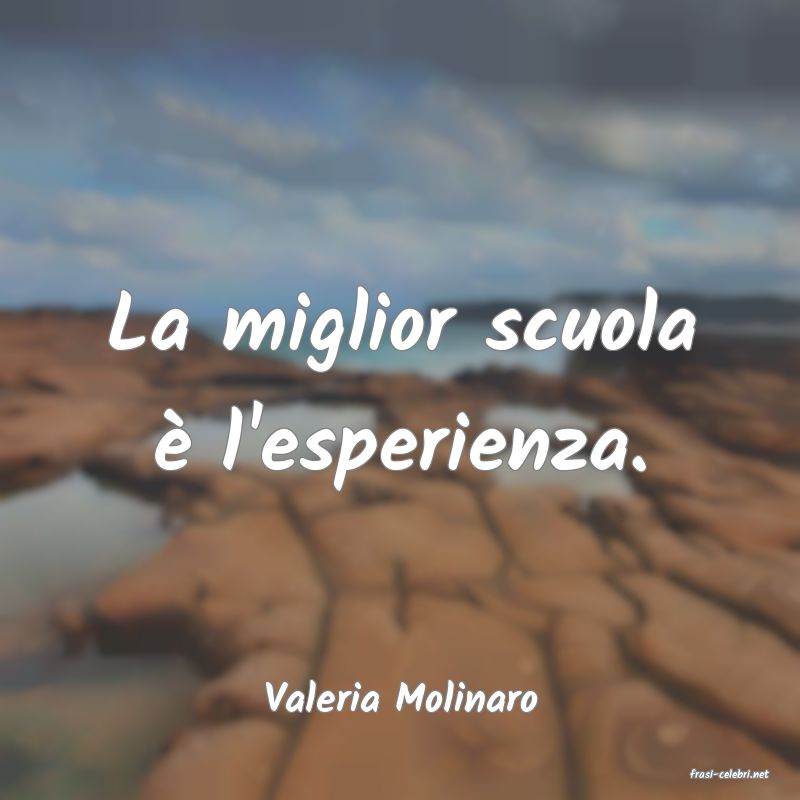 frasi di  Valeria Molinaro

