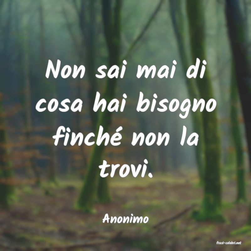 frasi di  Anonimo
