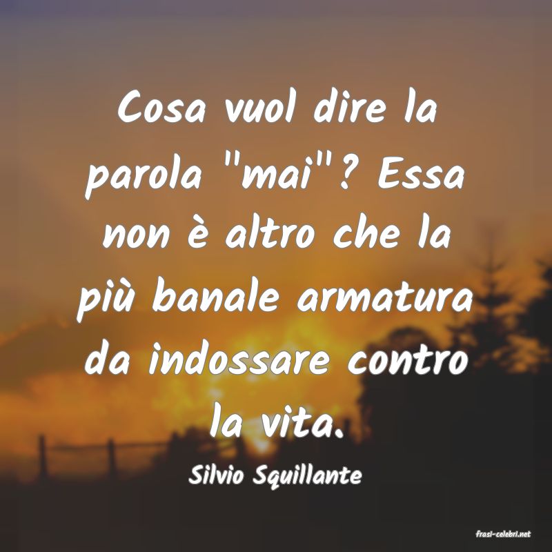 frasi di  Silvio Squillante
