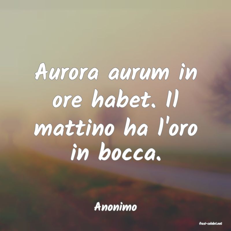 frasi di Anonimo