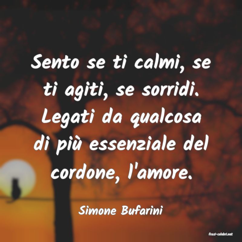 frasi di  Simone Bufarini
