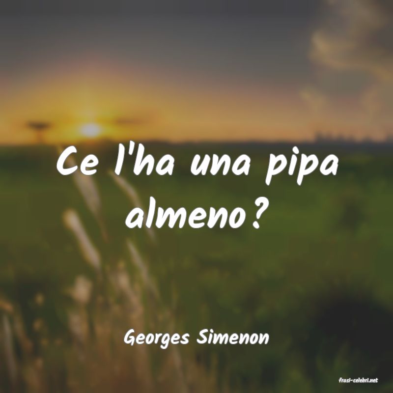 frasi di  Georges Simenon
