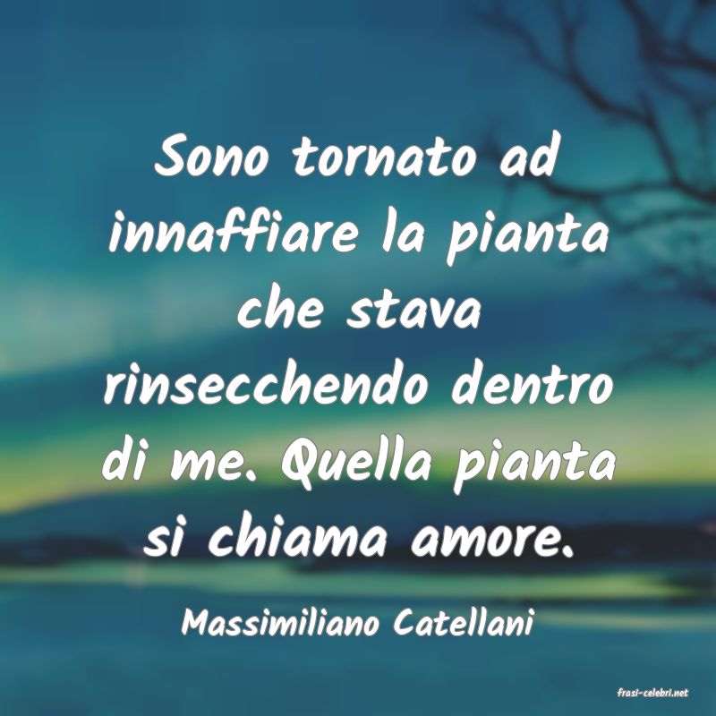 frasi di  Massimiliano Catellani
