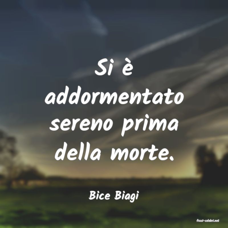 frasi di  Bice Biagi

