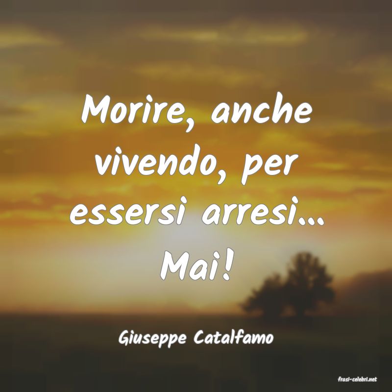 frasi di  Giuseppe Catalfamo
