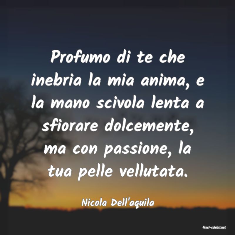frasi di  Nicola Dell'aquila
