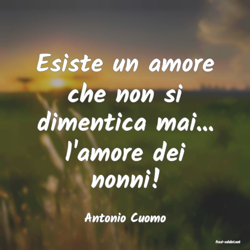 frasi di  Antonio Cuomo
