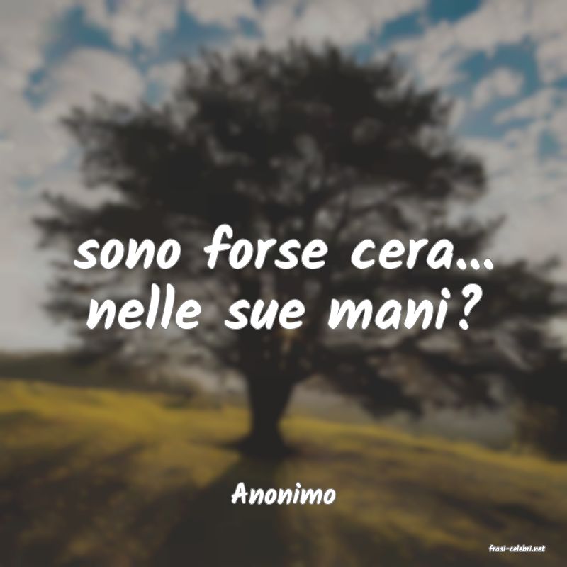 frasi di  Anonimo
