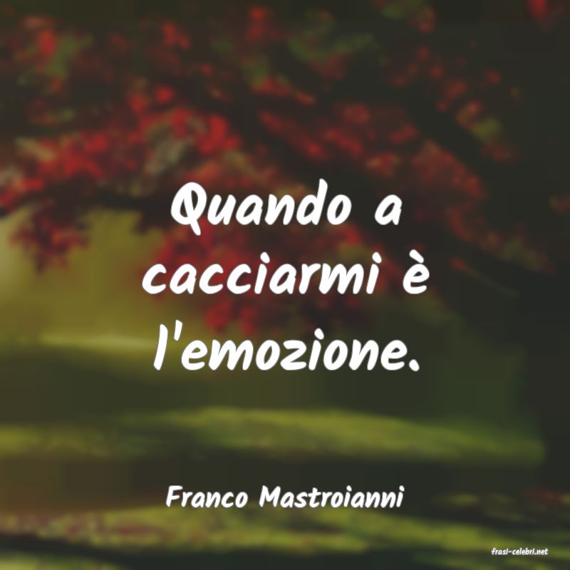 frasi di  Franco Mastroianni
