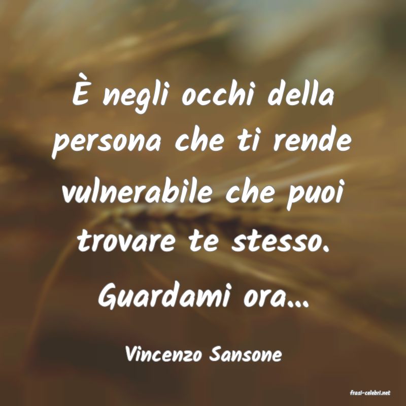 frasi di  Vincenzo Sansone
