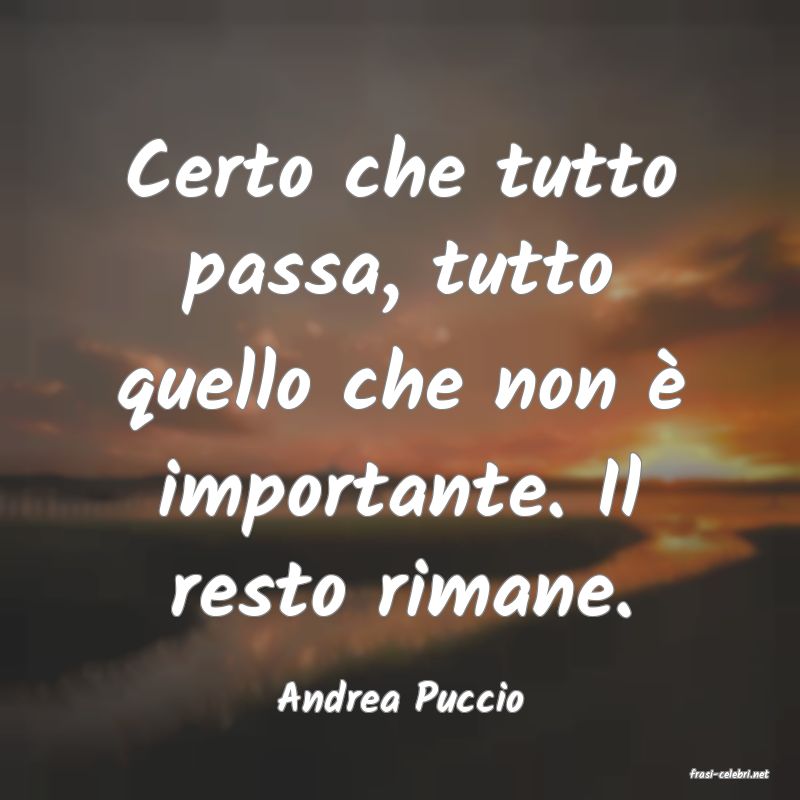 frasi di  Andrea Puccio
