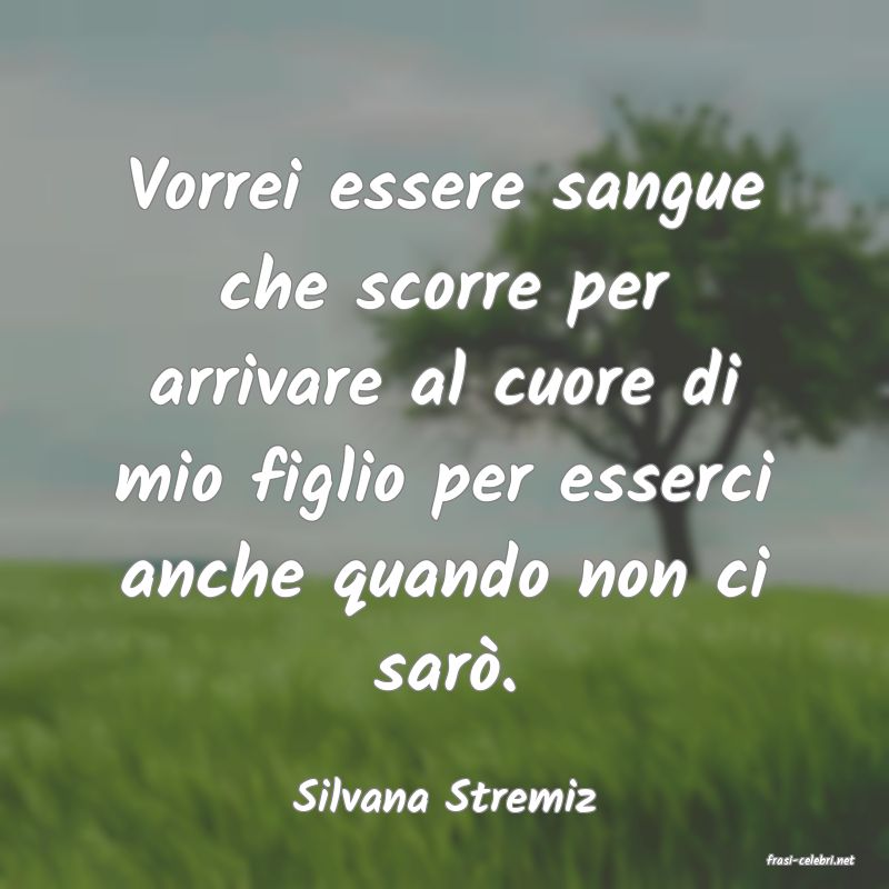 frasi di Silvana Stremiz