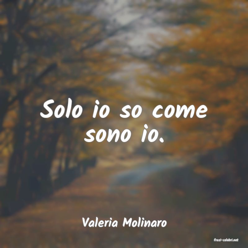 frasi di Valeria Molinaro