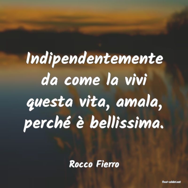 frasi di  Rocco Fierro
