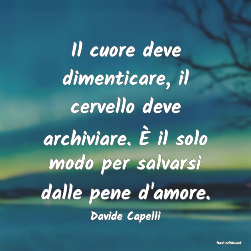 frasi di  Davide Capelli
