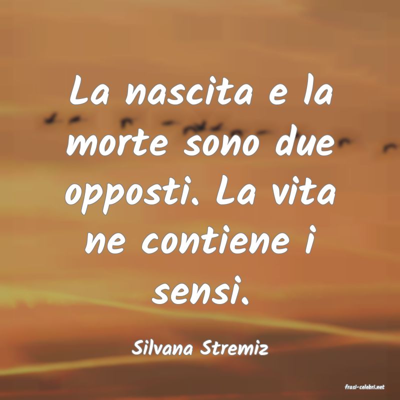 frasi di  Silvana Stremiz
