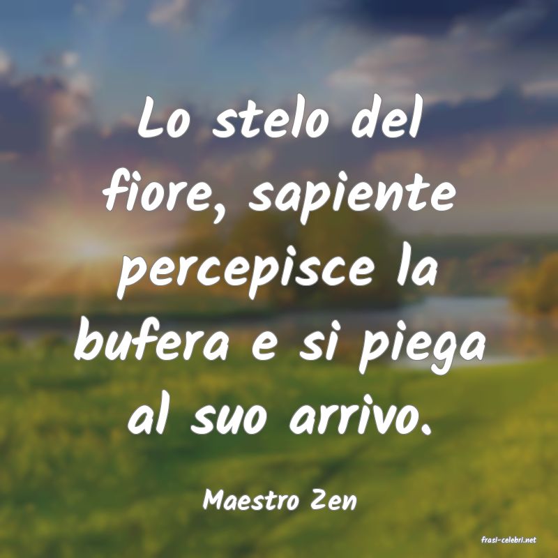 frasi di Maestro Zen