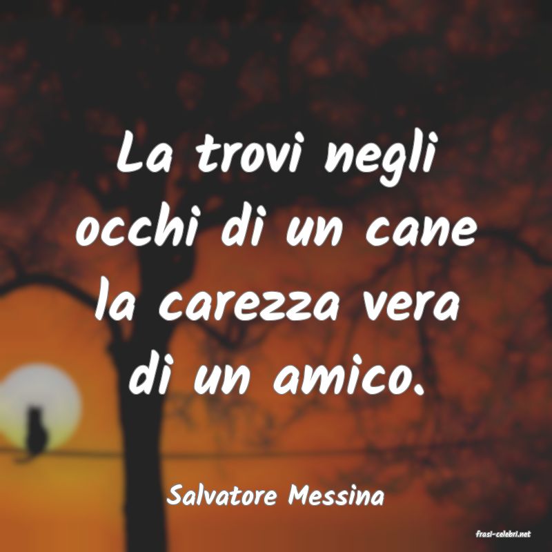 frasi di Salvatore Messina