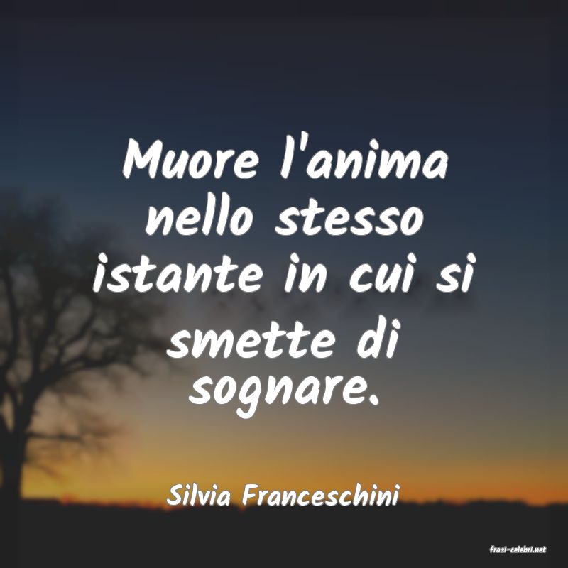 frasi di  Silvia Franceschini
