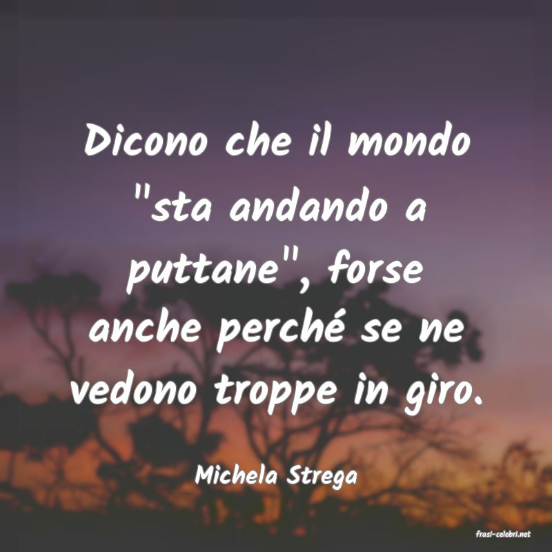 frasi di  Michela Strega

