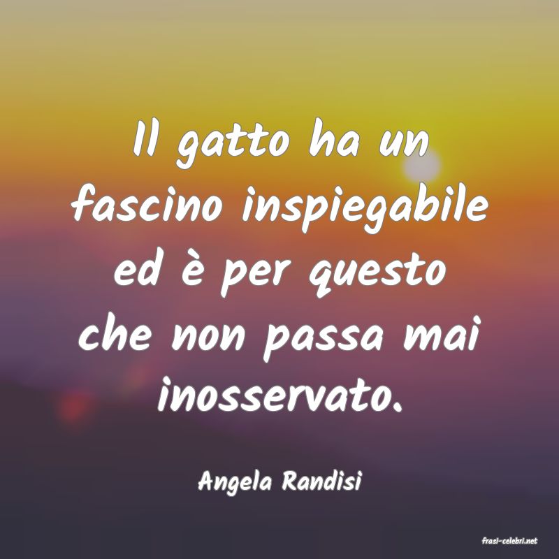 frasi di  Angela Randisi
