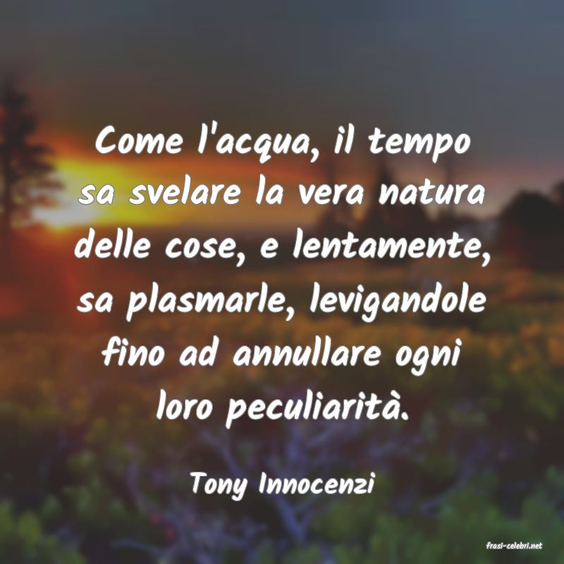 frasi di  Tony Innocenzi
