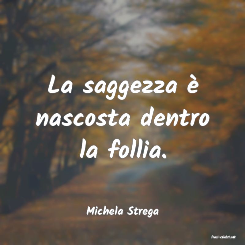 frasi di  Michela Strega
