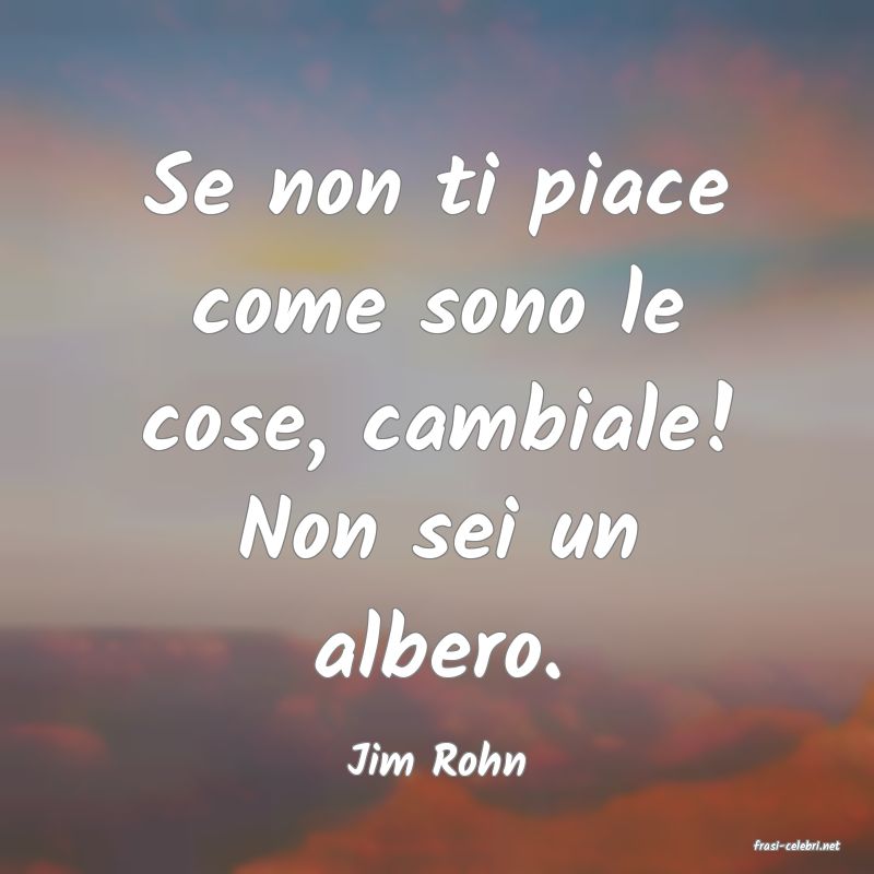 frasi di  Jim Rohn

