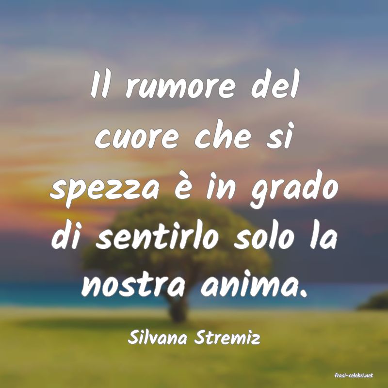 frasi di  Silvana Stremiz
