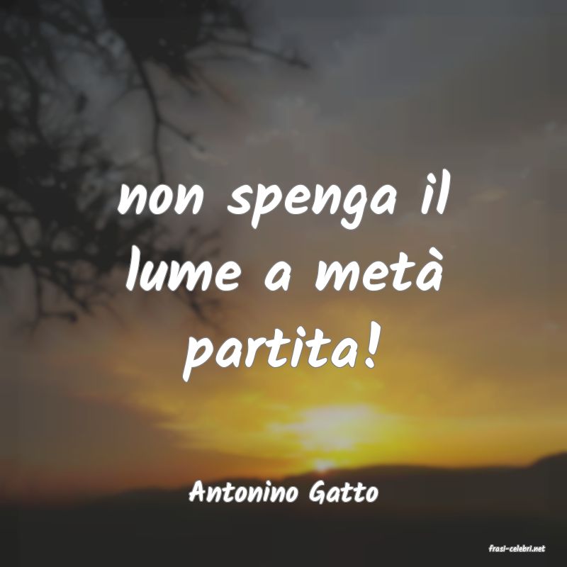frasi di  Antonino Gatto
