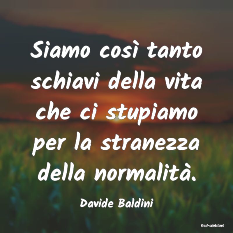 frasi di  Davide Baldini
