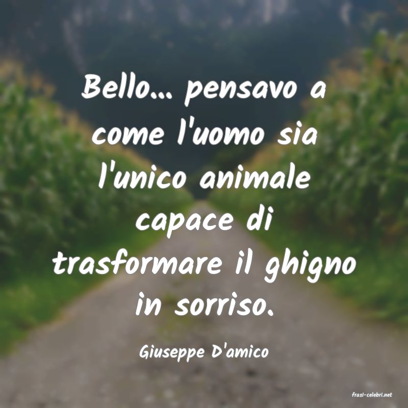frasi di  Giuseppe D'amico

