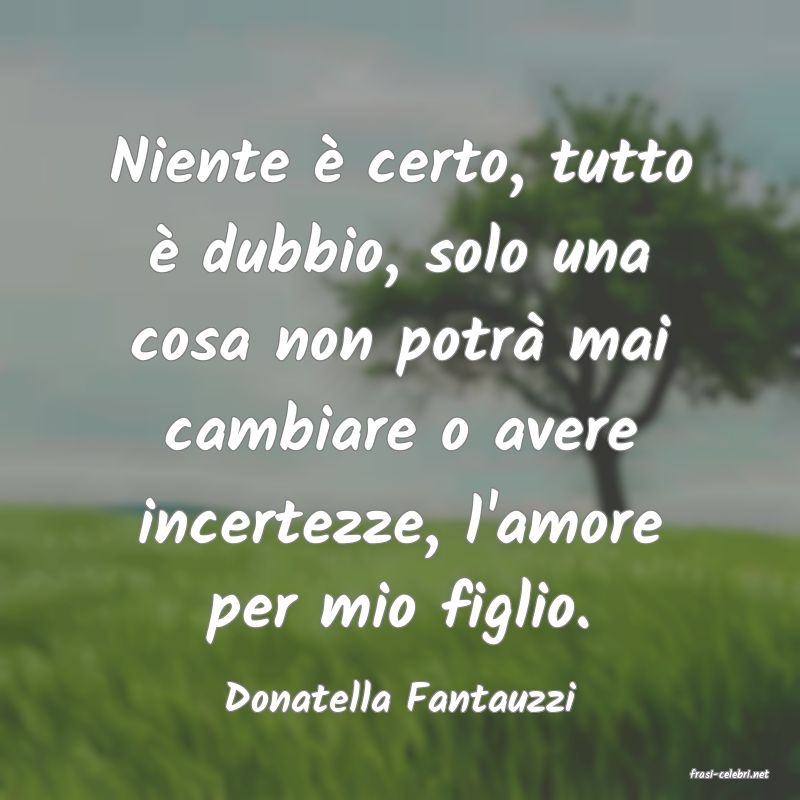 frasi di  Donatella Fantauzzi
