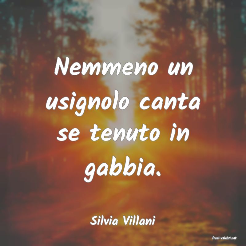 frasi di Silvia Villani
