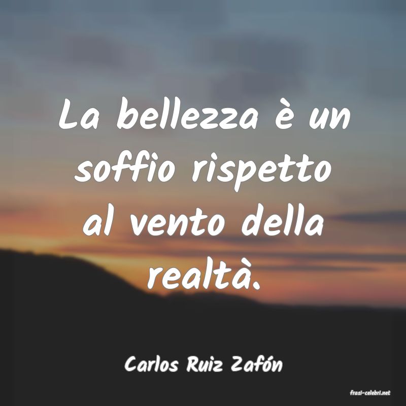frasi di Carlos Ruiz Zafn