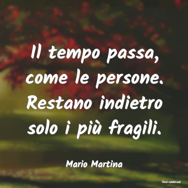 frasi di  Mario Martina
