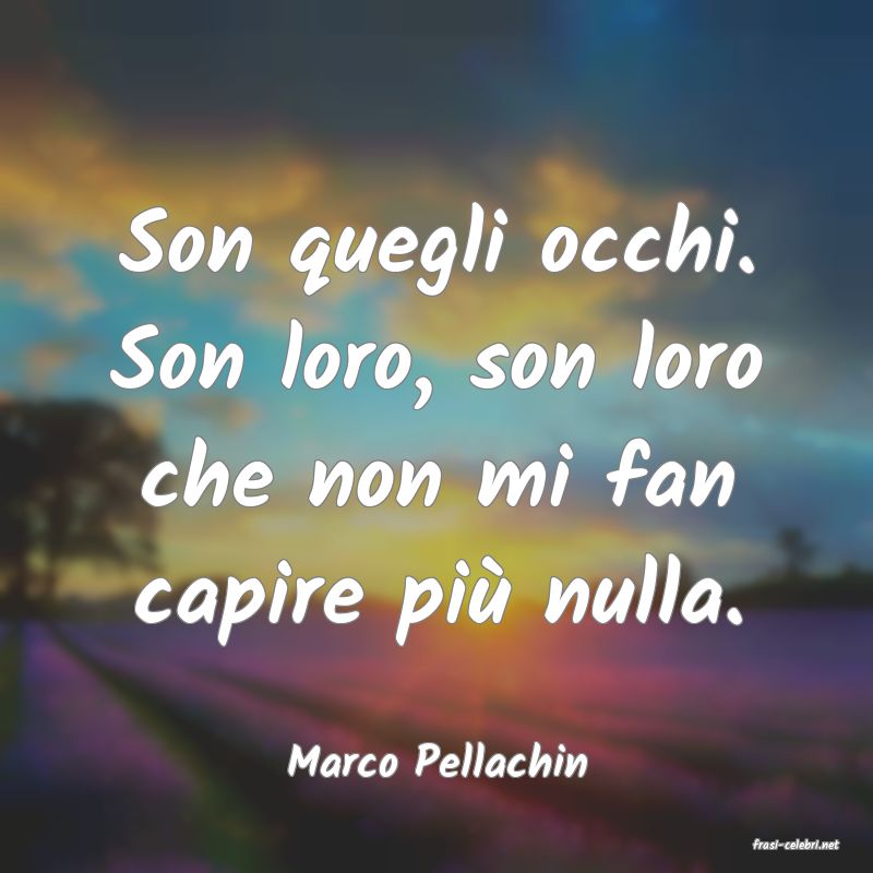 frasi di  Marco Pellachin
