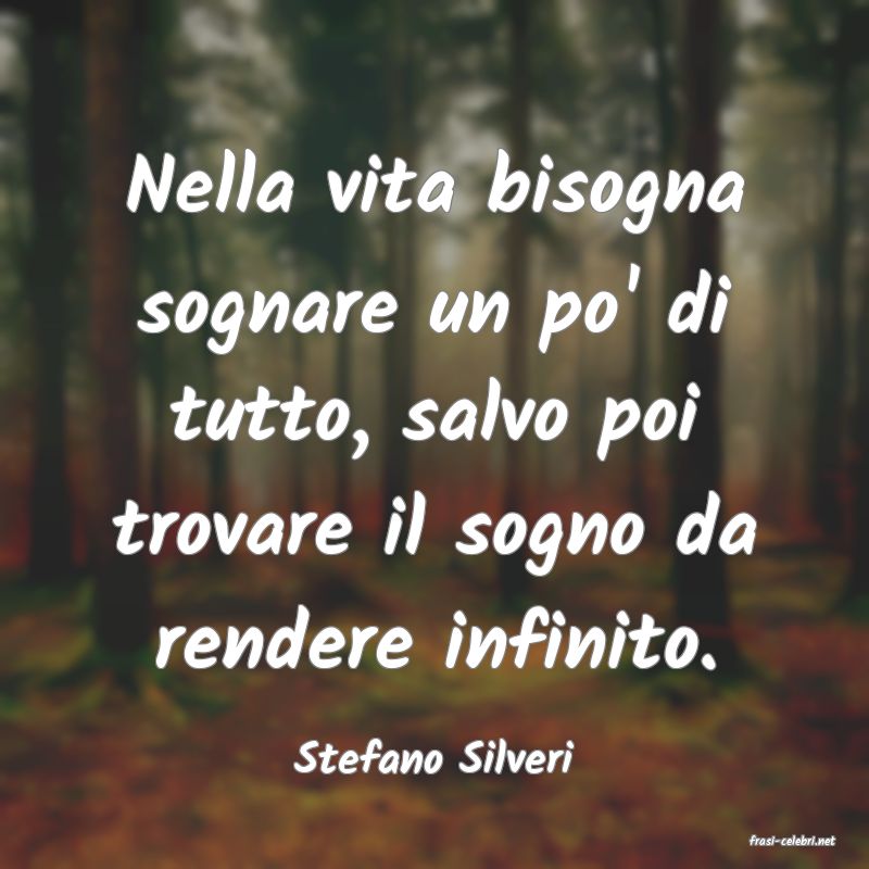 frasi di  Stefano Silveri
