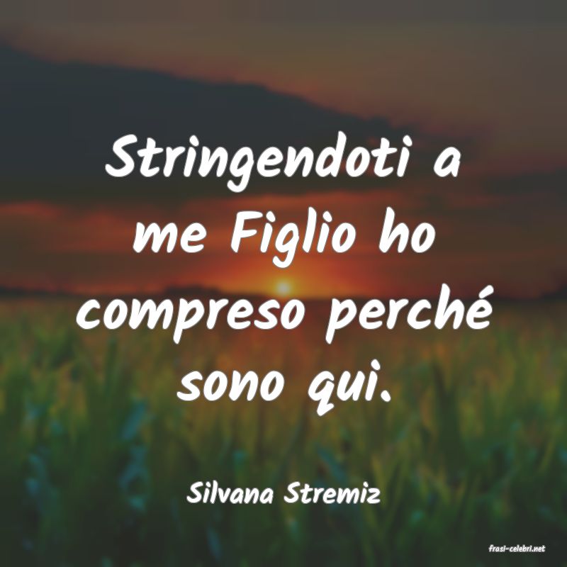 frasi di  Silvana Stremiz
