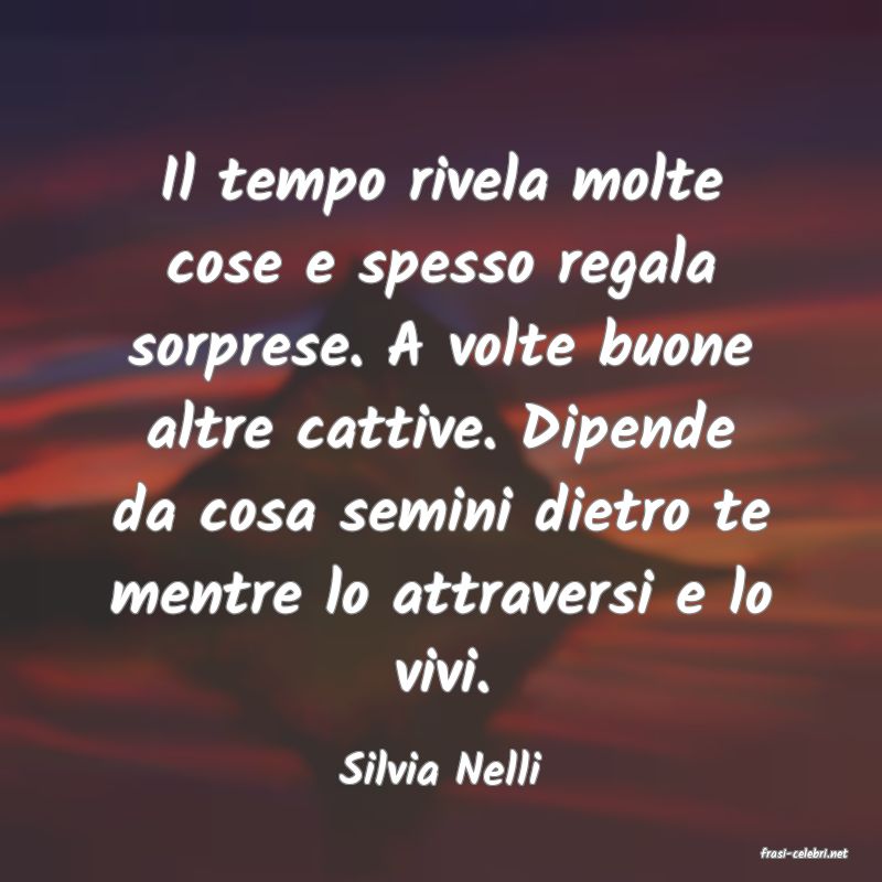 frasi di  Silvia Nelli
