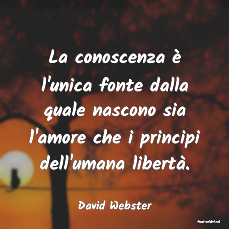 frasi di David Webster