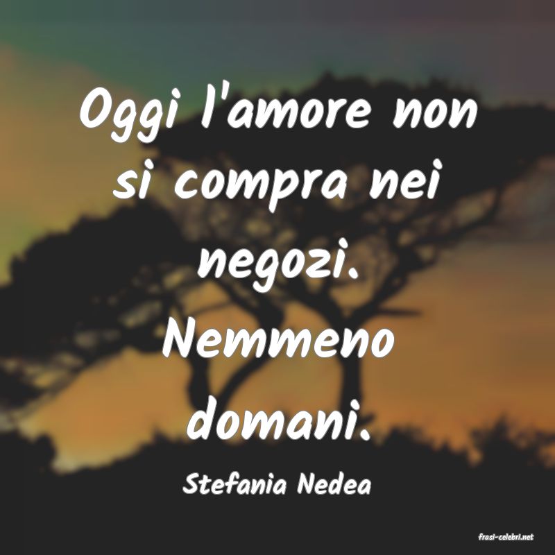 frasi di  Stefania Nedea
