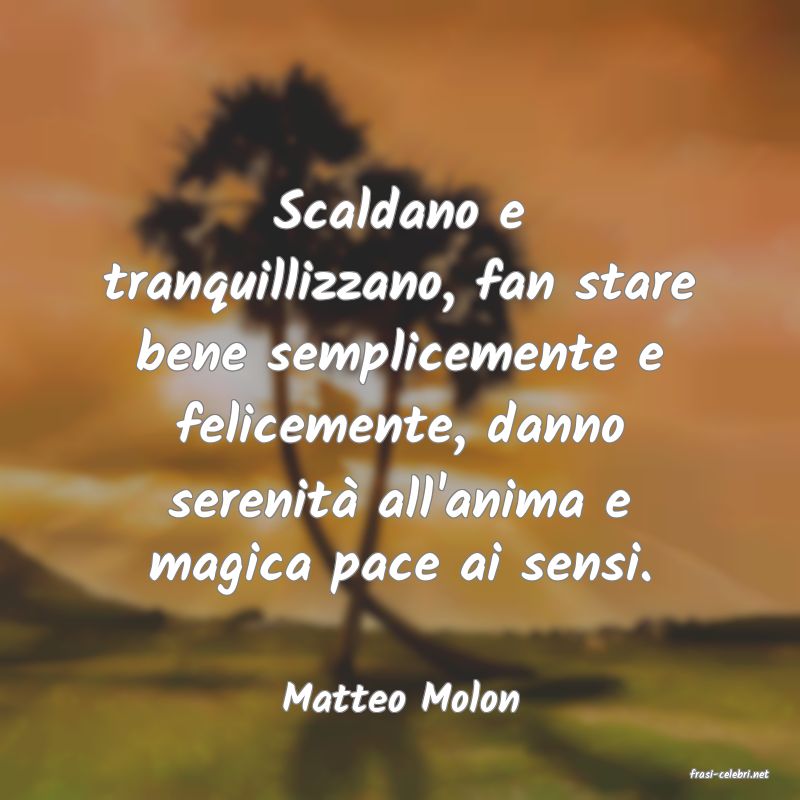 frasi di  Matteo Molon
