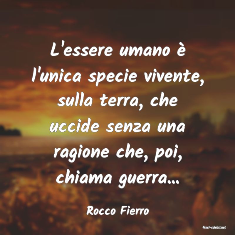 frasi di Rocco Fierro