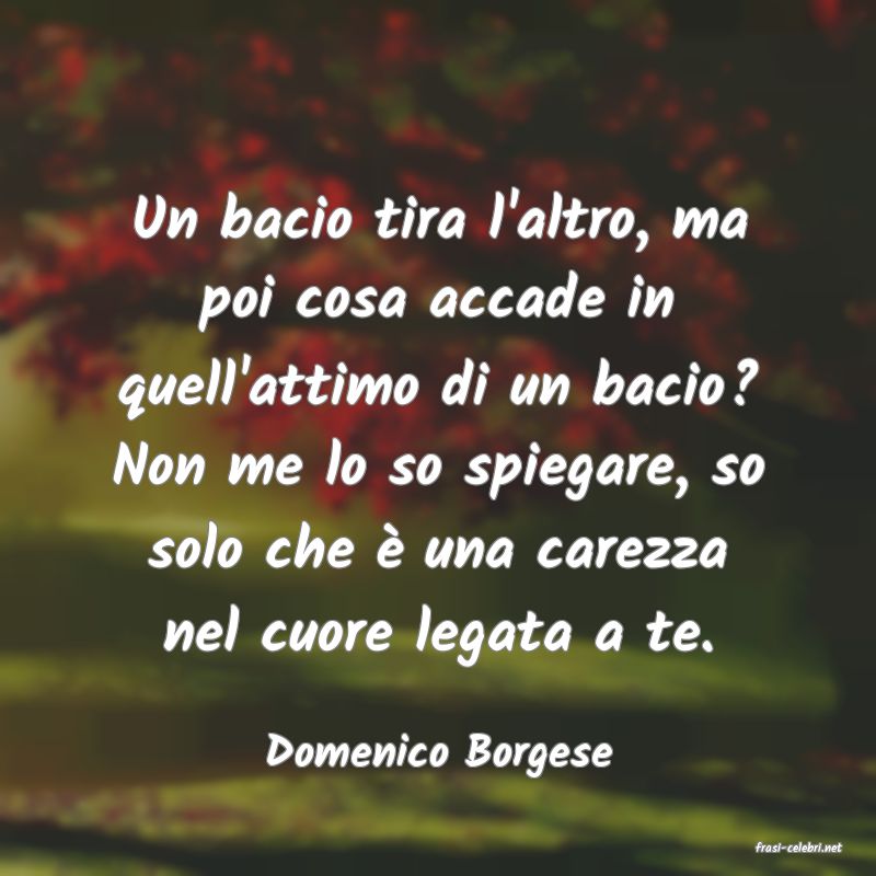 frasi di  Domenico Borgese
